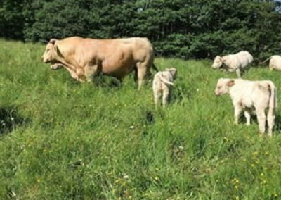 LA FERME LOU BRENAC