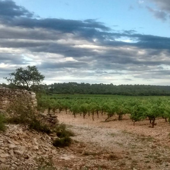 DOMAINE GAUTRAN – AB